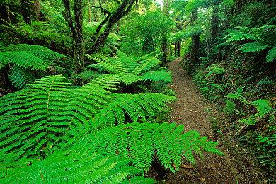 《辐射4》新版高清材质包 替换20多种高清材质