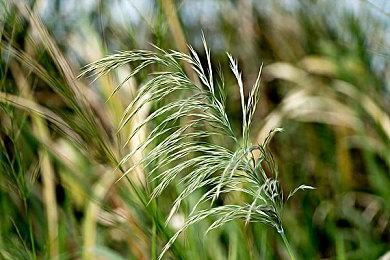 《圣剑传说 Visions of Mana》新宣传图 8月30日发售